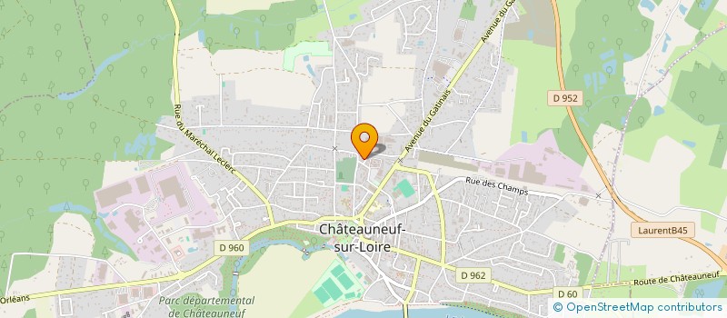 localisation de l'entreprise MONSIEUR MIHAI BUISSON  CHATEAUNEUF-SUR-LOIRE