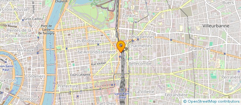 localisation de l'entreprise MONSIEUR MIHAI NICOLESCO  LYON