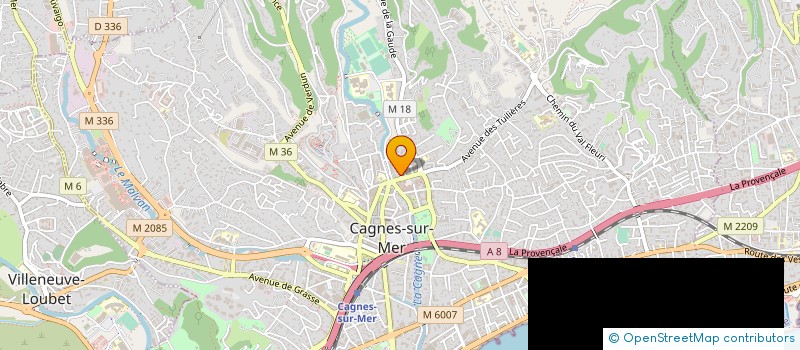 localisation de l'entreprise MONSIEUR MIHAI ONOFREI à CAGNES-SUR-MER