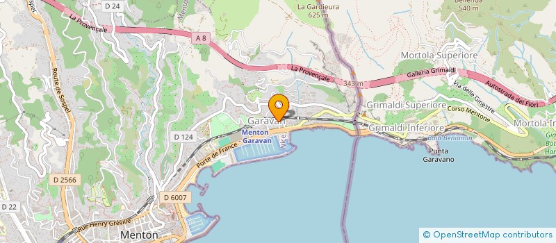 localisation de l'entreprise MONSIEUR MIHAIL LEPADATU à MENTON