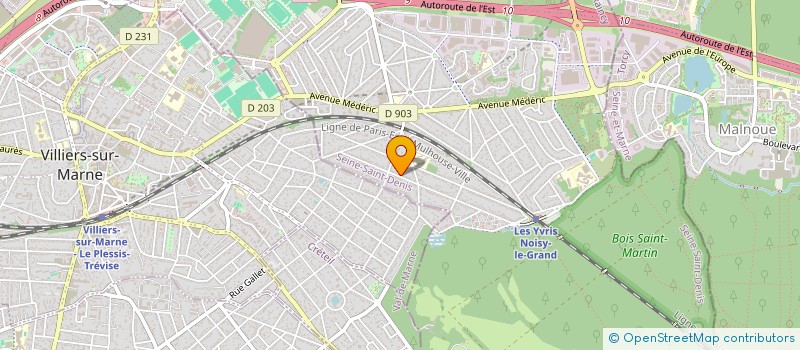 localisation de l'entreprise MONSIEUR MIHAIL SEVTOV  NOISY-LE-GRAND