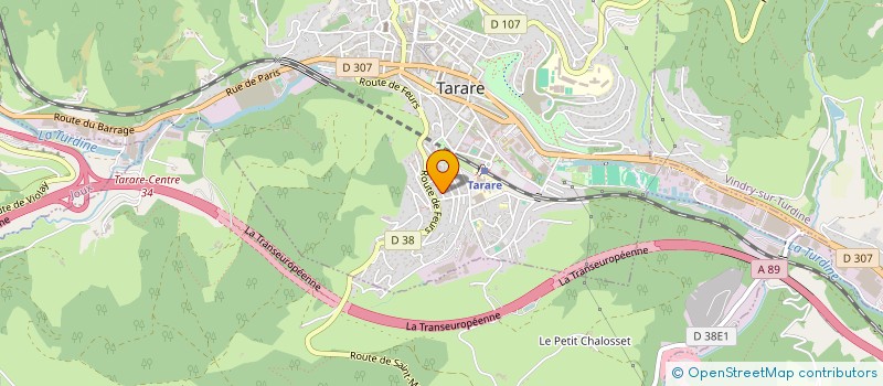 localisation de l'entreprise MONSIEUR MIHAJLO GIRARD  TARARE