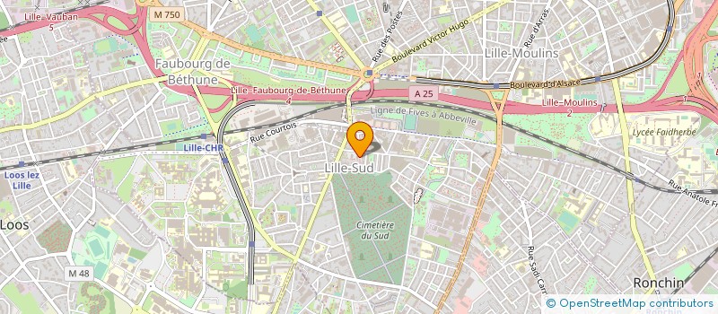 localisation de l'entreprise MONSIEUR MIKAEL LECOUSTRE à LILLE