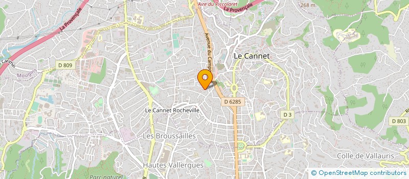 localisation de l'entreprise MONSIEUR MIKAEL LOPES à LE CANNET