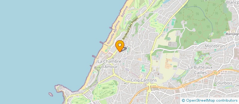 localisation de l'entreprise MONSIEUR MIKAEL MARINAKIS à ANGLET
