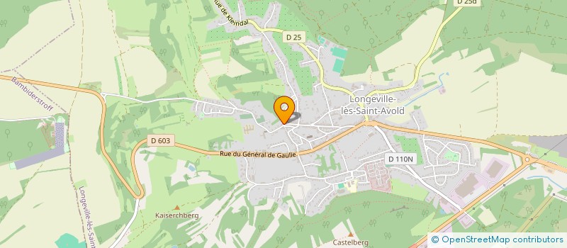 localisation de l'entreprise MONSIEUR MIKAEL RODRIGUES à LONGEVILLE-LES-SAINT-AVOLD