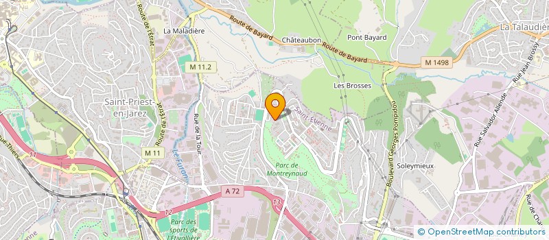 localisation de l'entreprise MONSIEUR MIKAIL MUTLU  SAINT-ETIENNE