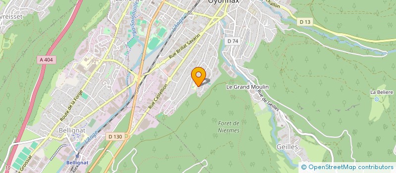 localisation de l'entreprise MONSIEUR MIKAIL SAPCI à OYONNAX
