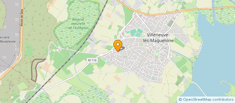 localisation de l'entreprise MONSIEUR MIKE DELFAU  VILLENEUVE-LES-MAGUELONE