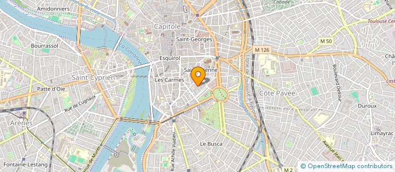 localisation de l'entreprise MONSIEUR MIKE LASKAR à TOULOUSE