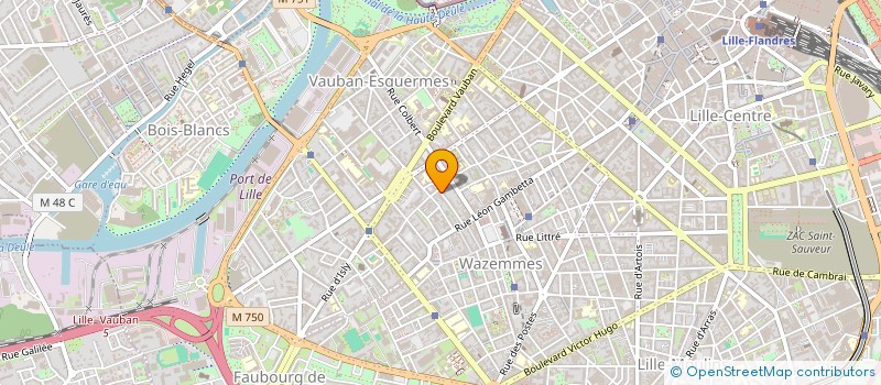 localisation de l'entreprise MONSIEUR MIKE MULAK à LILLE