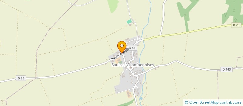 localisation de l'entreprise MONSIEUR MIKE NICAISE  SAULCES-CHAMPENOISES