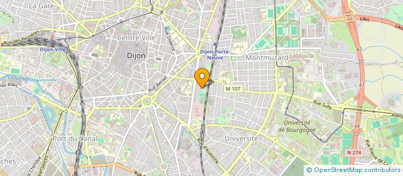 localisation de l'entreprise MONSIEUR MIKE PILLOT  DIJON