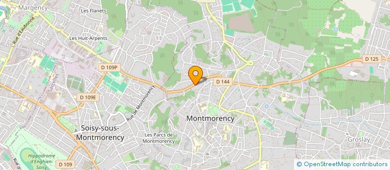 localisation de l'entreprise MONSIEUR MIKE REBELO  MONTMORENCY