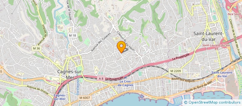 localisation de l'entreprise MONSIEUR MIKE RENALD-TANG à CAGNES-SUR-MER