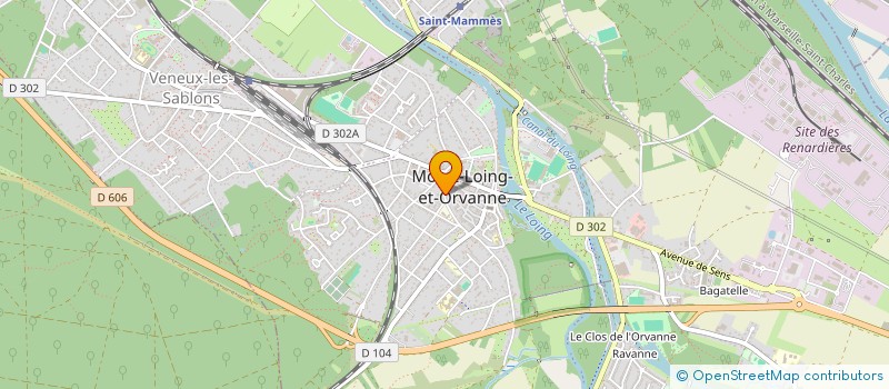 localisation de l'entreprise MONSIEUR MILES HYMAN  MORET-LOING-ET-ORVANNE