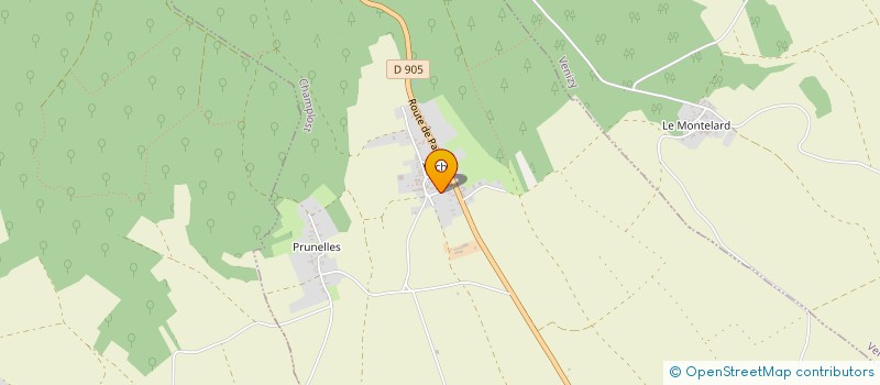 localisation de l'entreprise MONSIEUR MINERMINO DE JESUS FERNANDES  CHAMPLOST