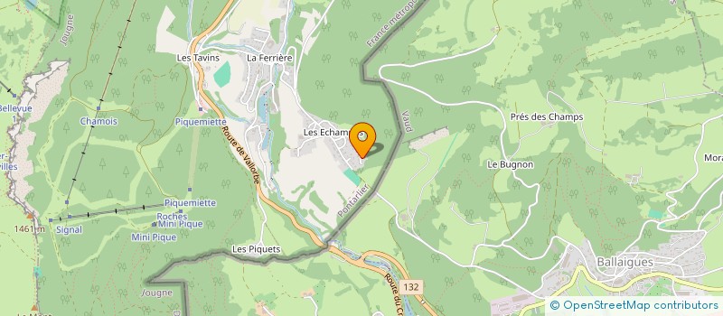 localisation de l'entreprise MONSIEUR MIRKO ALLEE  JOUGNE