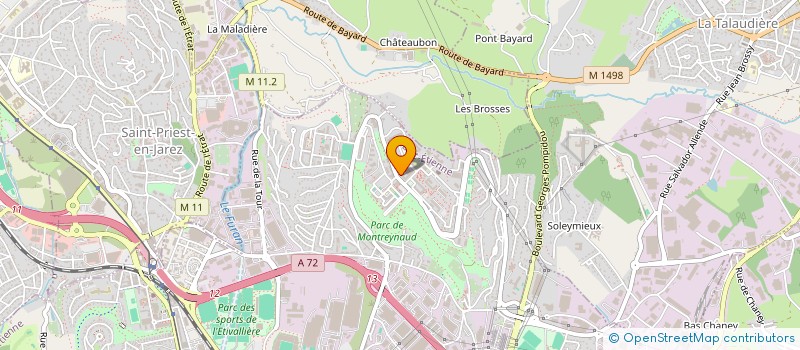 localisation de l'entreprise MONSIEUR MIROSLAV DIMITROV  SAINT-ETIENNE