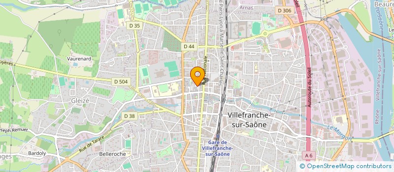 localisation de l'entreprise MONSIEUR MIROSLAV RAMOVIC  VILLEFRANCHE-SUR-SAONE