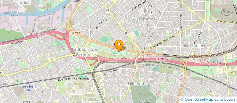 localisation de l'entreprise MONSIEUR MIRWAIS ARABZADA à LILLE