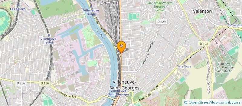 localisation de l'entreprise MONSIEUR MLADEN RADEV STOYANOV  VILLENEUVE-SAINT-GEORGES