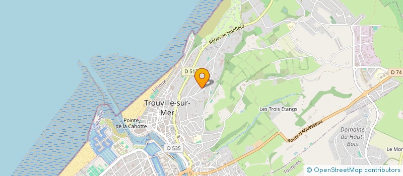 localisation de l'entreprise MONSIEUR MODESTE AUBE à TROUVILLE-SUR-MER