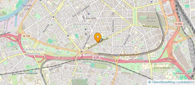 localisation de l'entreprise MONSIEUR MOHAMAD AHMAD à LILLE