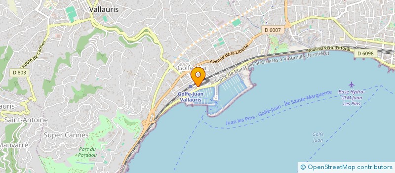 localisation de l'entreprise MONSIEUR MOHAMAD MUHIEDDINE à VALLAURIS