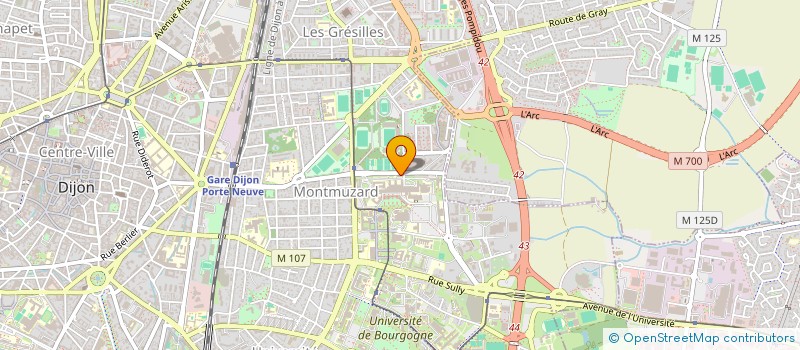 localisation de l'entreprise MONSIEUR MOHAMADREZA KHODADADI à DIJON