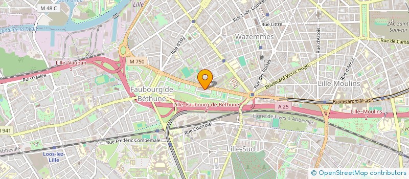 localisation de l'entreprise MONSIEUR MOHAMED AHMIDOU à LILLE