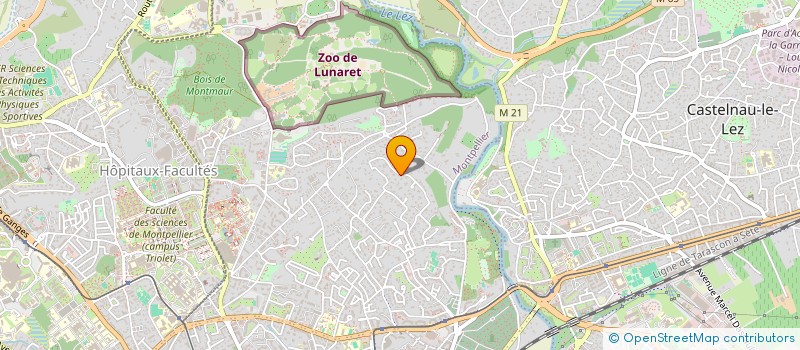 localisation de l'entreprise MONSIEUR MOHAMED ALILI à MONTPELLIER