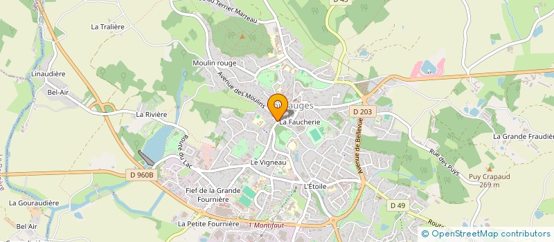 localisation de l'entreprise MONSIEUR MOHAMED ATTIA  POUZAUGES