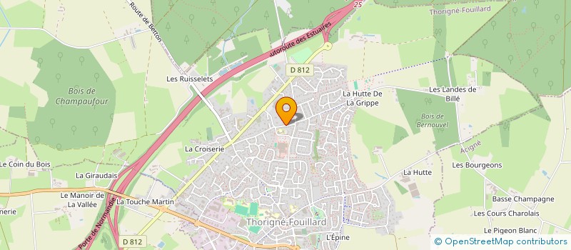 localisation de l'entreprise MONSIEUR MOHAMED AYARI  THORIGNE-FOUILLARD