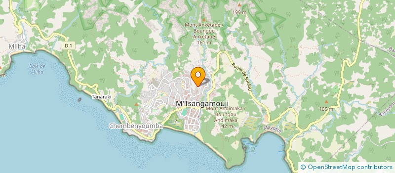 localisation de l'entreprise MONSIEUR MOHAMED BAHSIS à M'TSANGAMOUJI