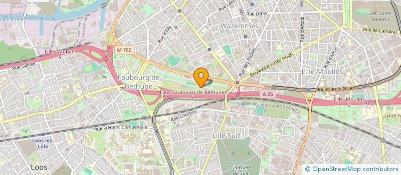 localisation de l'entreprise MONSIEUR MOHAMED BAKKAY  LILLE