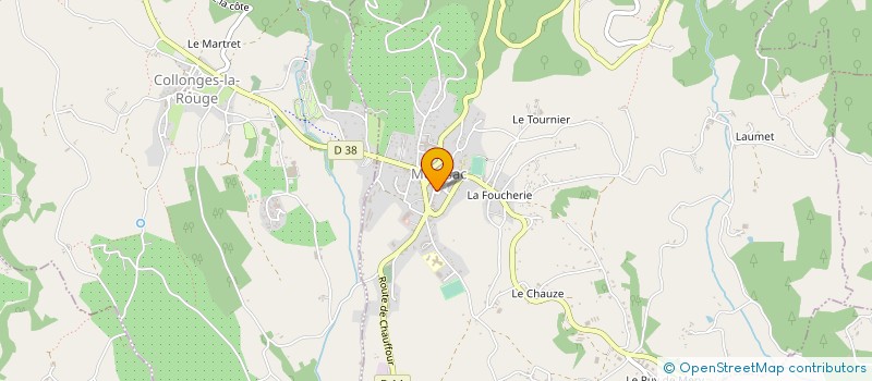 localisation de l'entreprise MONSIEUR MOHAMED BELADJINE  MEYSSAC