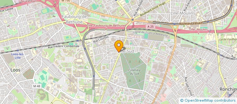 localisation de l'entreprise MONSIEUR MOHAMED BELDJILALI  LILLE