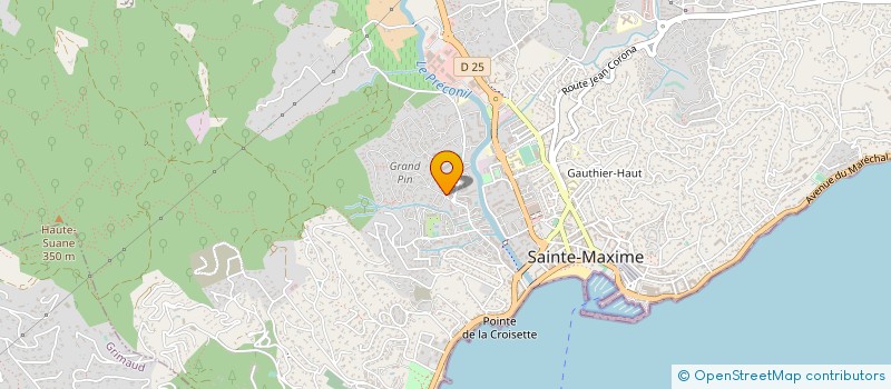 localisation de l'entreprise MONSIEUR MOHAMED BEN HASSINE à SAINTE MAXIME