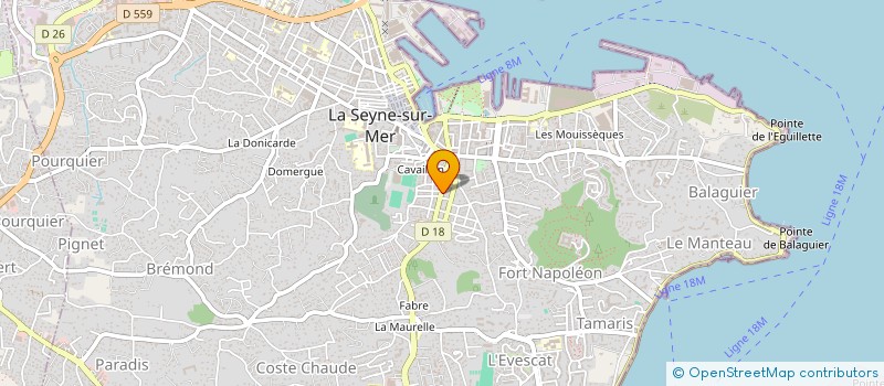 localisation de l'entreprise MONSIEUR MOHAMED BEN LARBI  LA SEYNE-SUR-MER