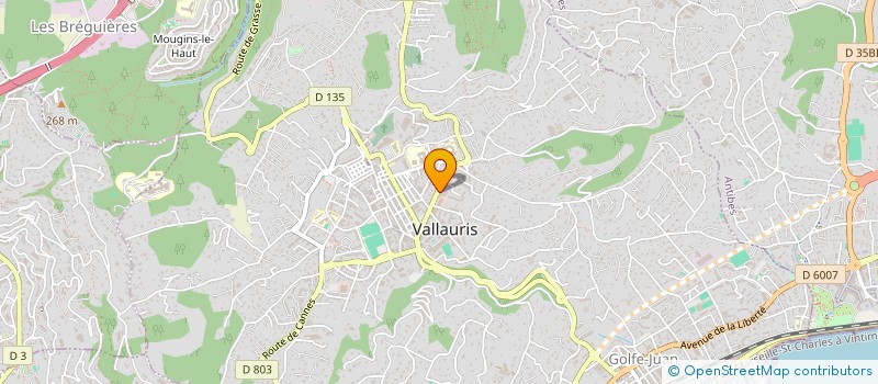 localisation de l'entreprise MONSIEUR MOHAMED BEN TAHAR  VALLAURIS