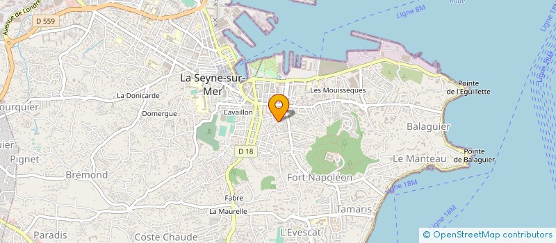 localisation de l'entreprise MONSIEUR MOHAMED BENHIR à LA SEYNE-SUR-MER
