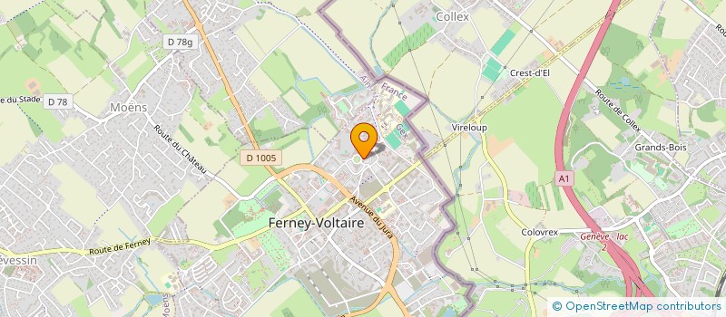 localisation de l'entreprise MONSIEUR MOHAMED BENYAHIA  FERNEY-VOLTAIRE