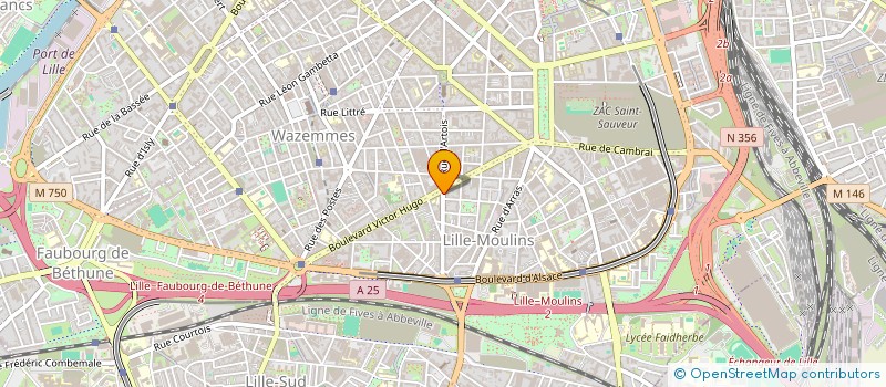 localisation de l'entreprise MONSIEUR MOHAMED BERROUANE  LILLE