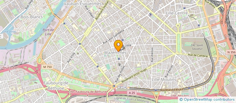 localisation de l'entreprise MONSIEUR MOHAMED BICHRA  LILLE
