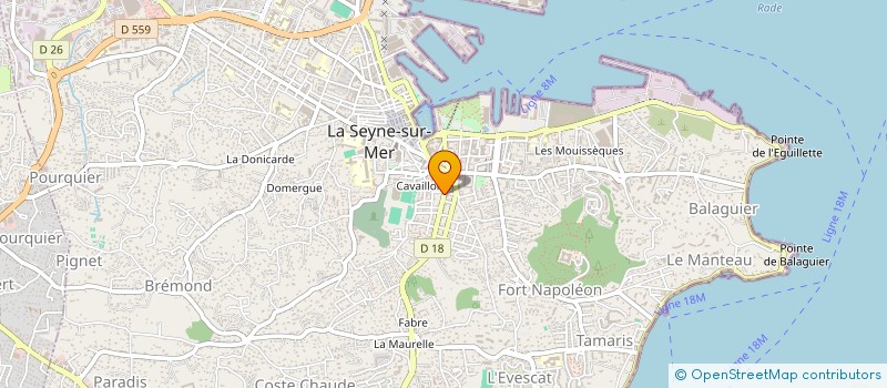 localisation de l'entreprise MONSIEUR MOHAMED BOUAZZAOUI à LA SEYNE-SUR-MER