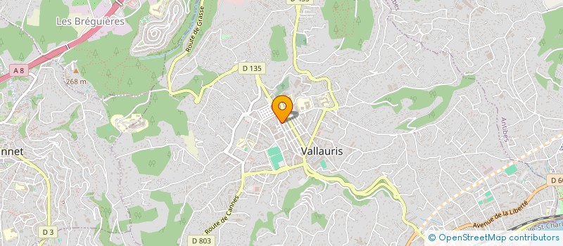 localisation de l'entreprise MONSIEUR MOHAMED BOUCHAMLA à VALLAURIS