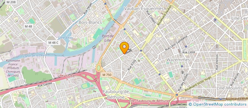 localisation de l'entreprise MONSIEUR MOHAMED BOUGRIOUA à LILLE
