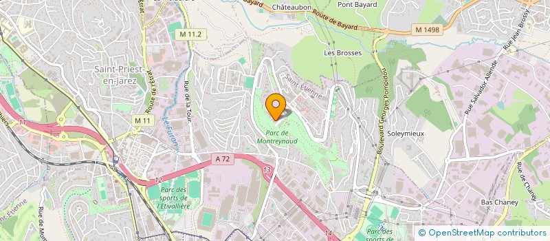 localisation de l'entreprise MONSIEUR MOHAMED BOUHASSOUN  SAINT-ETIENNE