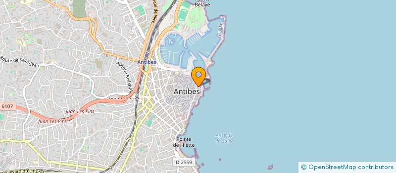 localisation de l'entreprise MONSIEUR MOHAMED BRINI à ANTIBES